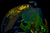 Airflite™ Bugoid Blitz Helmet 010115546