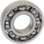 Counterbalance Shaft Bearing 09500325