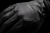 Hooligan™ CE Gloves 33014398