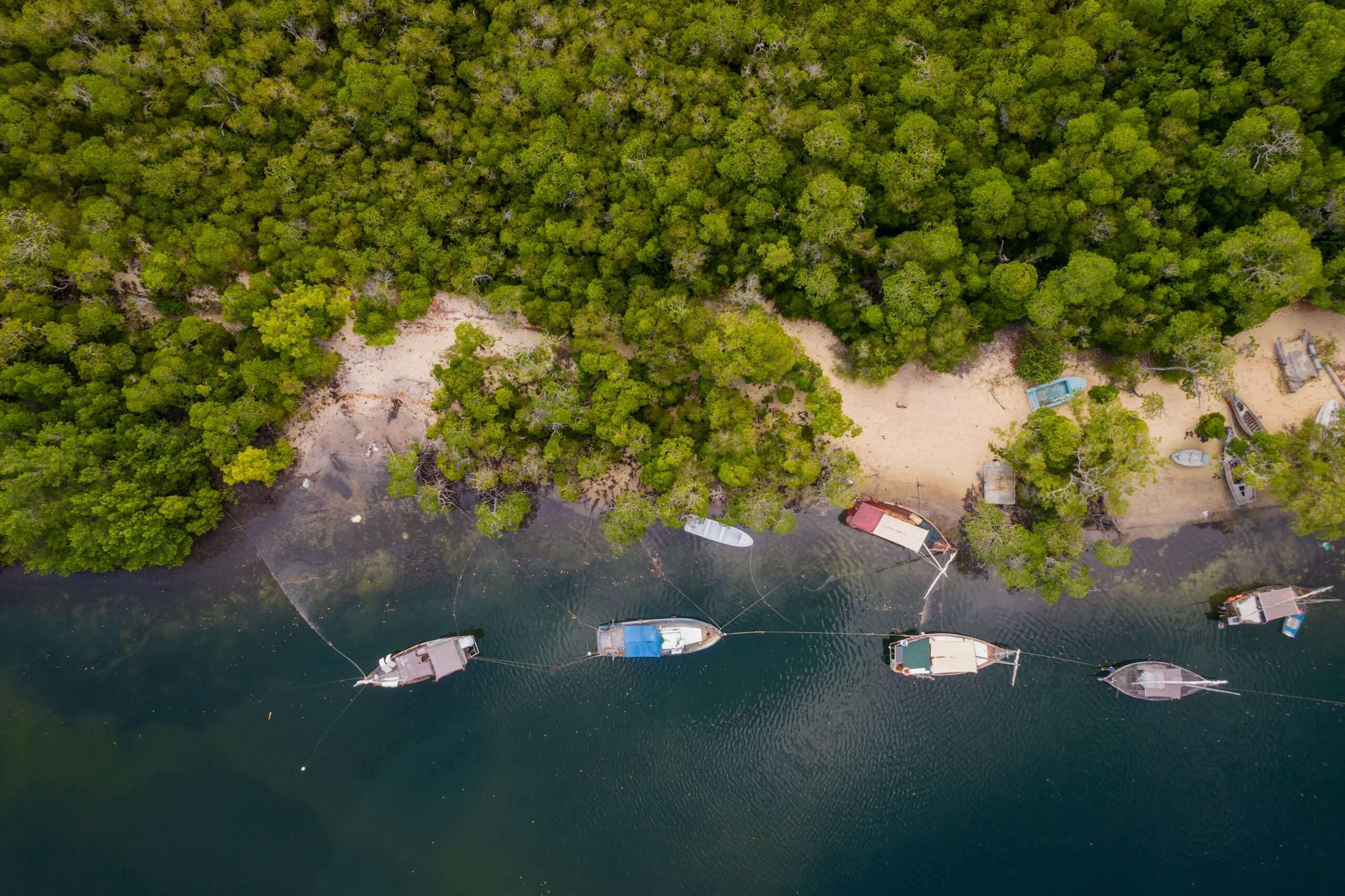coast and boats