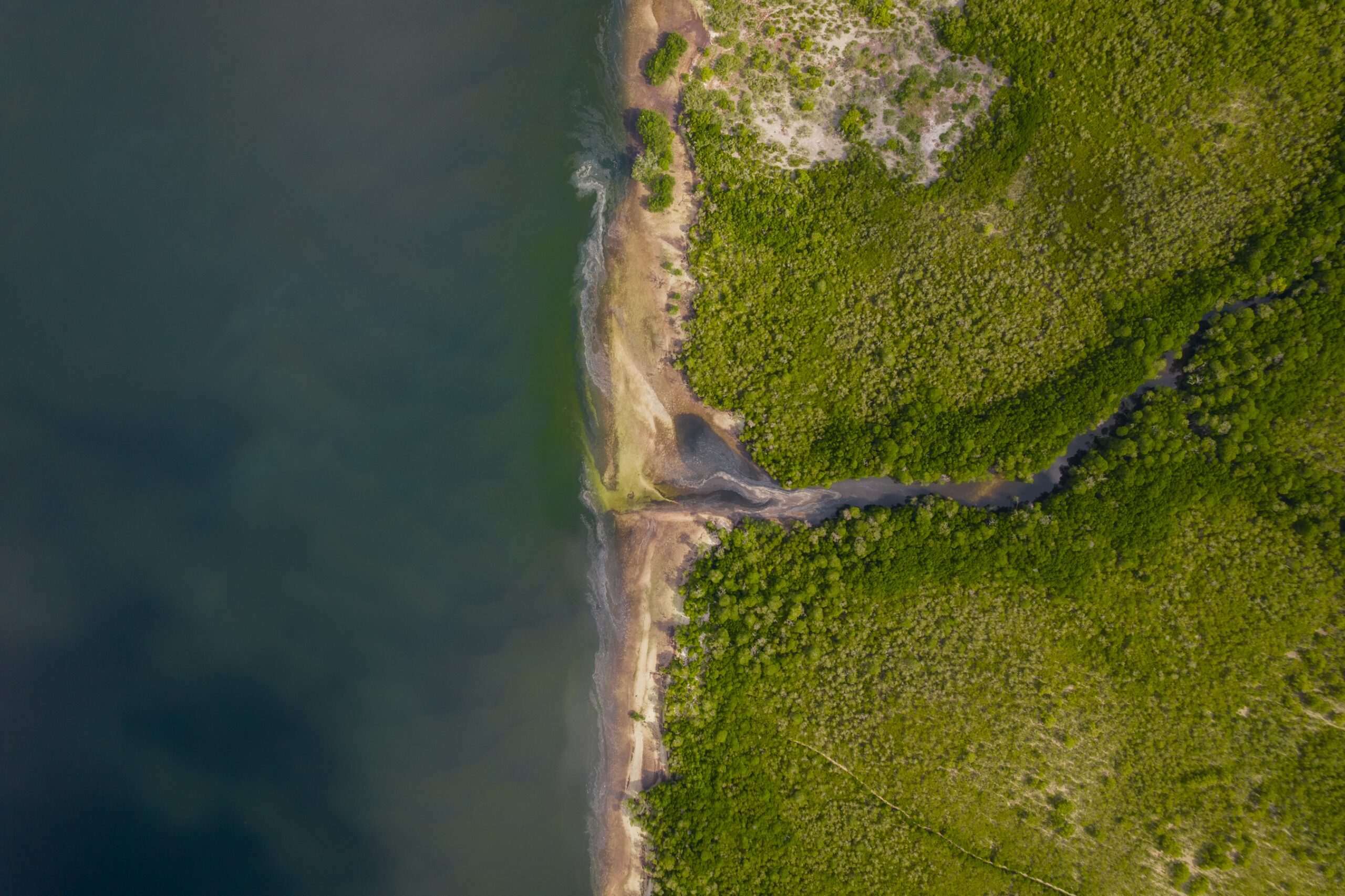 coast