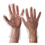 Food Service Gloves