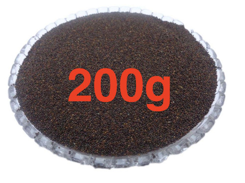 Samandar Shokh Samundra Sonkh Ghav Bel Murva Bidhar Seeds Elephant Creeper 200g