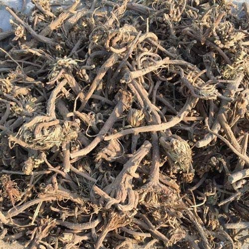 Akarkara Akkalghara Anacyclus Pyrethrum organic 100 grams