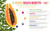 Papaya Powder for Smoothies, Superfood Diet -100g