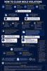 hpd mold all you need to know
