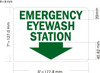 Sign EMERGECNY EYE WASH STATION Decal/STICKER