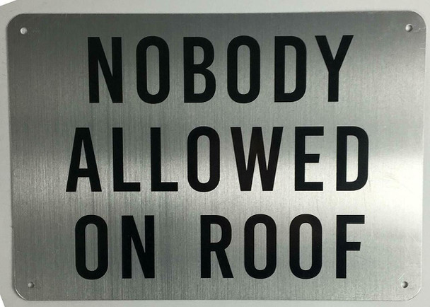 Nobody Allowed on Roof  (Brushed Aluminium) Potere d'argento Line