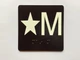 HPD ELEVATOR FLOOR NUMBER THE LEXINGTON AVE LINE (STAR M- STAR MEZANINE) SIGN