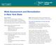 NYC HPD Mold Violations all you need to know – Complete Guide for Property Owners ( pdf )