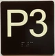 P3 Sign with Raised Letters Safety Sign