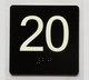 20 Sign with Raised Letters Ada Sign