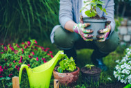 HOW TO CREATE A RAISED GARDEN BED FOR SPRING