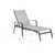 Foxhill 2-Piece All-Weather Commercial-Grade Aluminum Chaise Lounge Chair Set with Sunbrella Sling Fabric