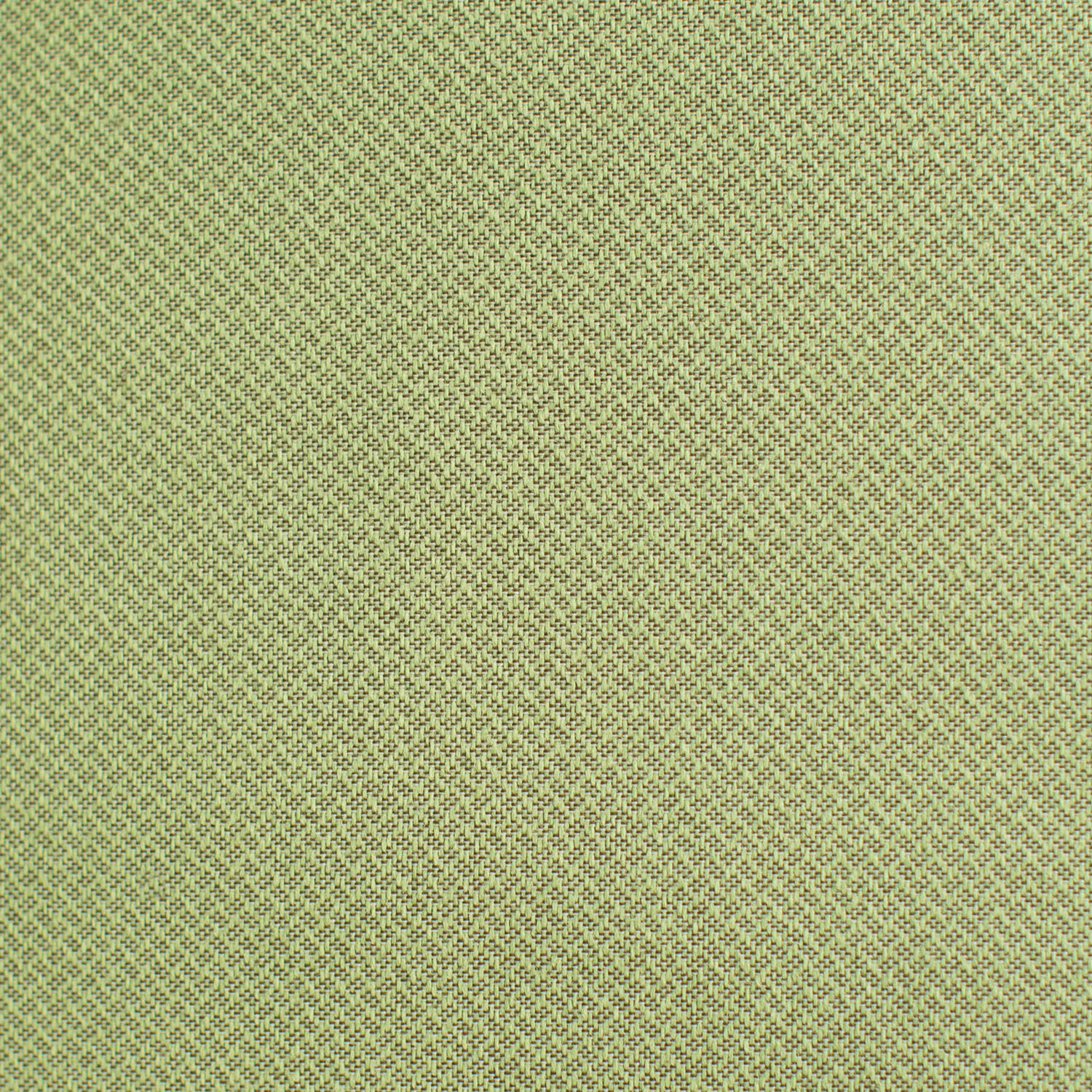 Avocado Green