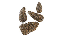 RH Peterson Real-Fyre PCW4 Decorative Wilderness Pine Cone Assortment RH Peterson Real-Fyre PCW4 Decorative Wilderness Pine Cone Assortment