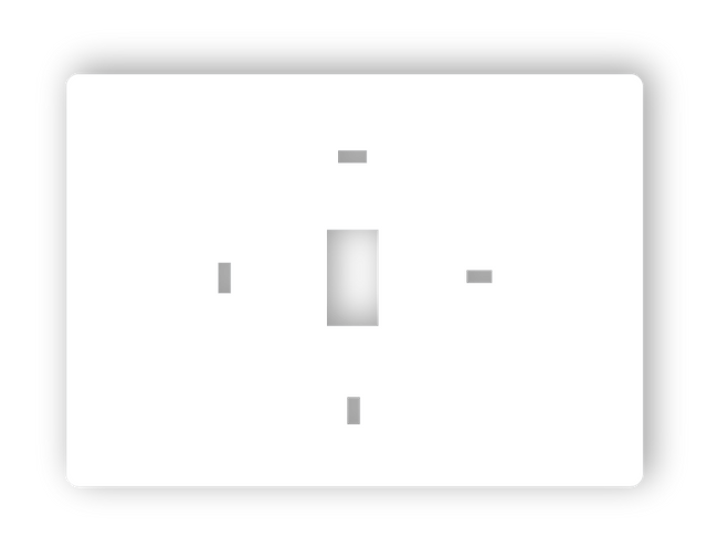 PRO1 T119 Wall Plate Cover