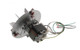 Reznor 220780 Replacement Venter Motor and Wheel Assembly - 115V