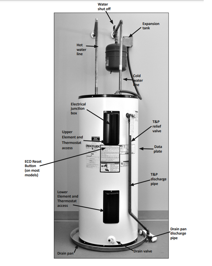 American Water Heaters E6N50H ProLine Tall 50 Gallon Top Connect Electric Water Heater 240 Volt