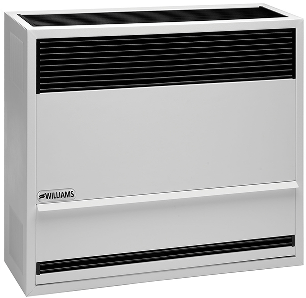 Williams 22000 BTU Gravity Direct Vent 