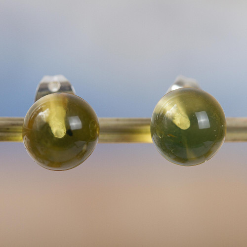 Classic Amber Stud Earrings from Mexico 'Ancient Origin'