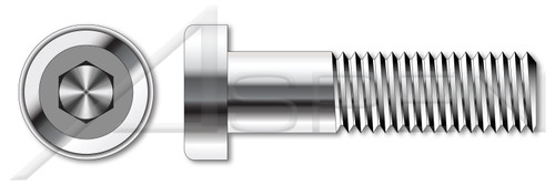 M5-0.8 X 25mm DIN 7984, Metric, Low Head Hex Socket Cap Screws, A4 Stainless Steel