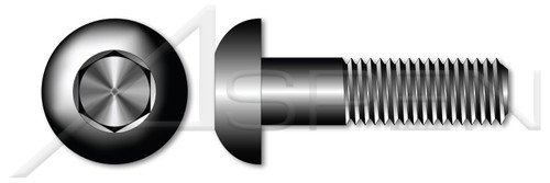 M5-0.8 X 15mm ISO 7380-1, Metric, Button Head Hex Socket Cap Screws, Holo-Krome, Class 12.9 Steel, Black Oxide