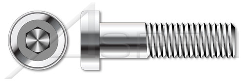 3/8"-16 X 1/2" Low Head Hex Socket Cap Screws, Stainless Steel