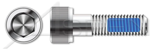#10-24 X 3/8" Hex Socket Head Cap Screws, Thread-Locking Patch, Stainless Steel