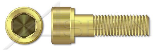 1/4"-20 X 7/8" Hex Socket Head Cap Screws, Brass