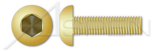 3/8"-16 X 1/2" Button Head Hex Socket Cap Screws, Full Thread, Brass