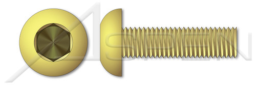 #8-32 X 1/4" Button Head Hex Socket Cap Screws, Full Thread, Brass