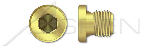 1-1/4"-11 DIN 908, Metric, Pipe Plugs, Hex Socket Drive, Straight Thread, Brass