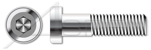 M10-1.5 X 12mm DIN 7984, Metric, Low Head Hex Socket Cap Screws, A2 Stainless Steel