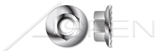 M12-1.75 DIN 6923, Metric, Hex Flange Nuts with Serrations, A2 Stainless Steel