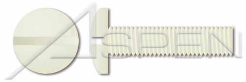 M6-1.0 X 45mm DIN 85 / ISO 1580, Metric, Machine Screws, Pan Slot Drive, Polyamide
