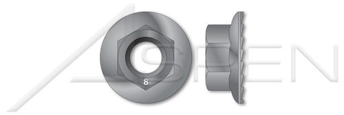 M12-1.75 DIN 6923, Metric, Hex Flange Nuts with Serrations, Class 8 Steel, Plain