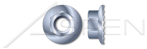 7/8"-9 Hex Flange Nuts with Serrations, Steel, Zinc Plated and Baked