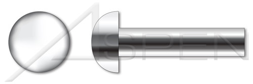 1/4" X 1/2" Solid Rivets, Round Head, Stainless Steel