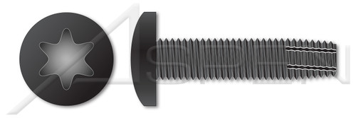 #8-32 X 1/4" Thread-Cutting Screws, Type "F", Pan 6Lobe Torx(r) Drive, Steel, Black Phosphate and Oil