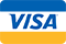 VISA Logo