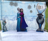 Frozen Scene with Lights Hire