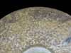 Meinl Byzance 20" Limited Edition Proto Extra Dry Ride Cymbal : 1860 grams