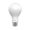 RAB LED A21 Lamp - 16 Watt - 3000K - 120 Volt | Replaces 100 Watt Incandescent - 1,600 Lumens - Non-Dimmable - Medium Base - A21-16-E26-830-ND