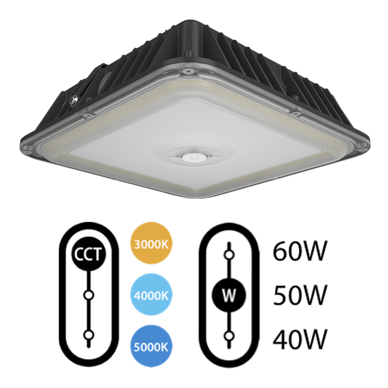 RAB VAN17-60 - Power and Color Adjustable LED Canopy Light