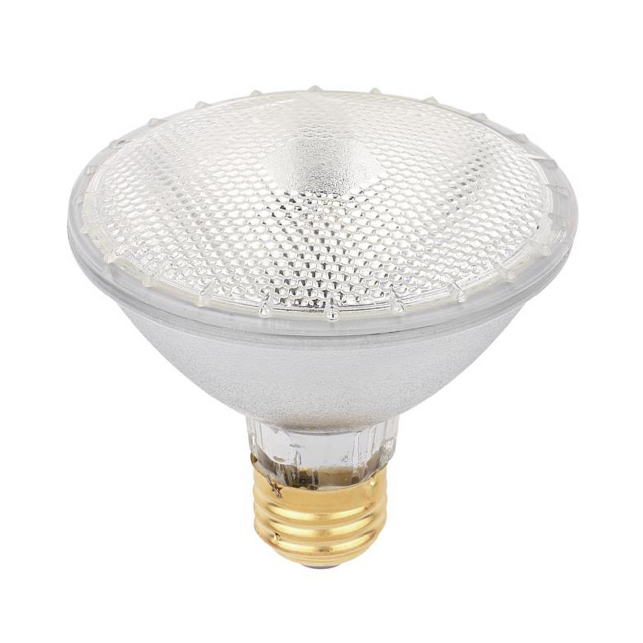 par 60 lamp