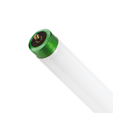 F96T8 (8 ft.) - Single Pin Fluorescent Tubes