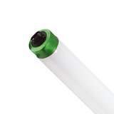 F96T8/HO (8 ft.) - High Output Fluorescent Tubes