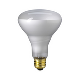 R30 & BR30 - Incandescent Lamps