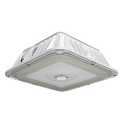 RAB VAN17-50W - Power and Color Adjustable LED Canopy Light